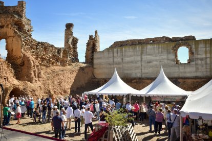 La cebolla es la protagonista en Villanueva de Jamuz. Daniel Pisabarro