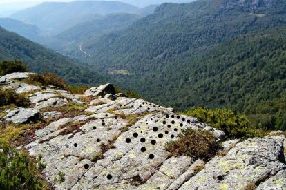 Imagen de los petroglifos descubiertos en los Ancares. ANA F. BARREDO