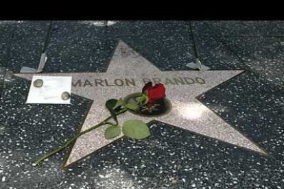 Una rosa permanece sobre la estrella del actor Marlo Brando en el Paseo de la Fama de California. El actor, que murió a los 80 años, sufría problemas coronarios y de movilidad.