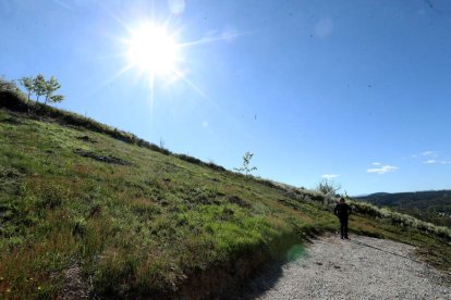 La senda del bosque enlaza con las Puentes de Malpaso. ANA F. BARREDO