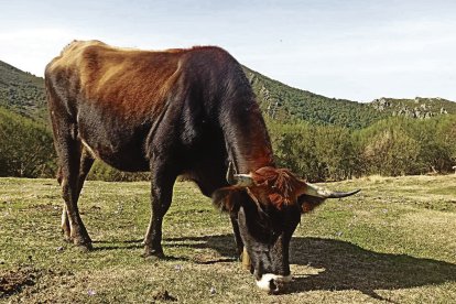 FLOR LEÓN MARTÍN.