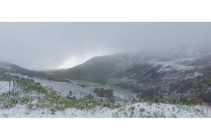 Otra imagen del puerto de Tarna. DL