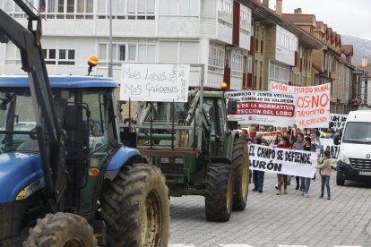 Protesta de los ganaderos contra los ataques del lobo en la Montaña Oriental. MARCIANO PÉREZ