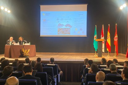 Presentación de los proyectos. SUBDELEGACIÓN DEL GOBIERNO