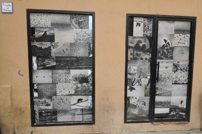 Las fotografías de ‘Bandada’ pueblan los lugares más insospechados del casco histórico de Badajoz. DL