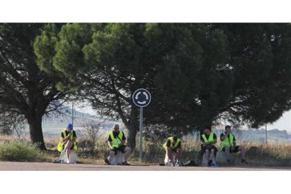 Un descanso bajo los pinares, las frescas sombras de Castilla. Norberto