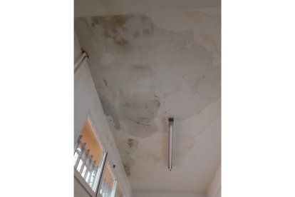 Humedades y desperfectos en el Colegio Quevedo. DL