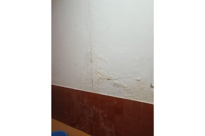 Humedades y desperfectos en el Colegio Quevedo. DL