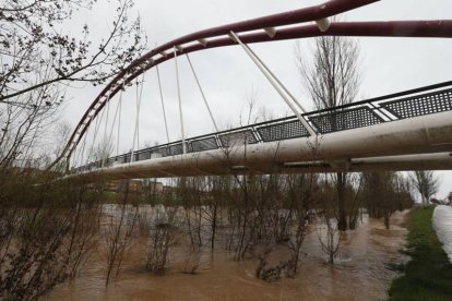 El agua anegó ayer todo el entorno forestal del Bernesga y el Torío. Ramiro.