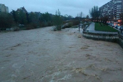 El Bernesga, en la capital, cubriendo la vegetación a una altura sorprendente. Pedro Rodríguez Orallo.
