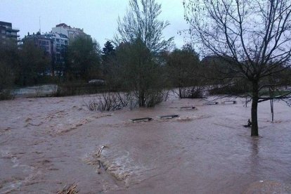 El paseo peatonal, paralelo al río Bernesga, inundado por el agua en León capital. Pedro Rodríguez Orallo.
