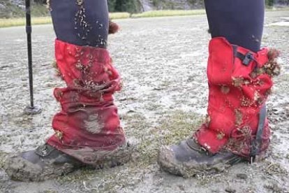 Se trata de una masa de hielo con carácter de meseta de una altura de 1.350 metros, interrumpida por numerosos picos y cordones cordilleranos con cotas de hasta 3.600 metros.