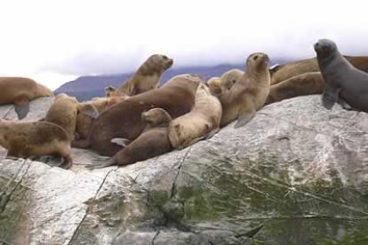 Gracias a todas estas aventuras, el escalador leonés ha logrado presenciar paisajes de increíble belleza.