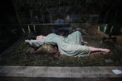 Pinocho, La Bella y la Bestia, Shrek, Cenicienta, La Bella Durmiente, Alicia en el País de las Maravillas y Caperucita Roja son algunos de los cuentos integrados
en la exposición del Museo Munic de Carracedelo y recogidos en este conjunto de imágenes que permiten aproximarse a una propuesta única de grandes escenografías y esculturas digitales, libros ilustrados históricos y mucho más.   L. DE LA MATA