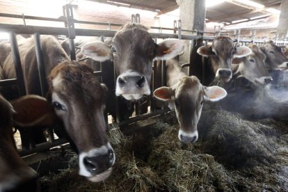 La seguridad alimentaria es una de las materias que estudia. MARCIANO PÉREZ