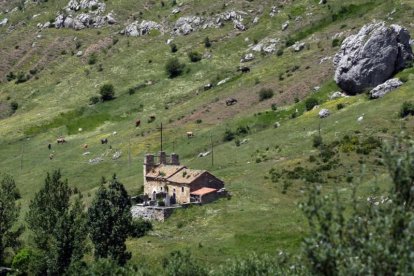Un pastor cuida un pequeño rebaño de vacas cerca de Valverdín. ICAL