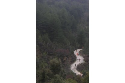 Foto: JESÚS F. SALVADORES