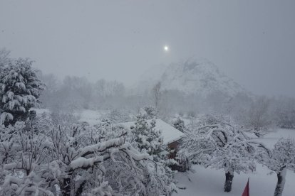 Rabanal de Luna. DL
