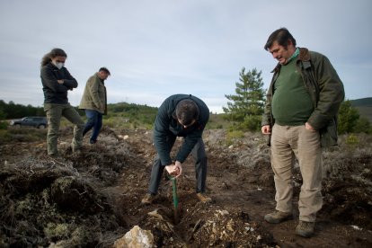 El monte de Viforcos, en Santa Colomba de Somoza, será reforestado. CAJA RURAL