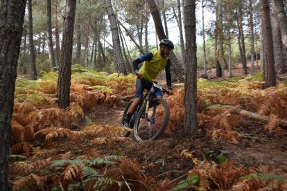 El BTT Villa de Cacabelos se estrenó con un trazado cronometrado espectacular a la vez que exigente. ORGANIZACIÓN