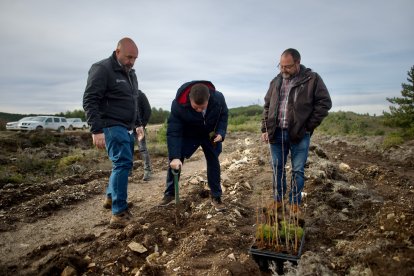 El monte de Viforcos, en Santa Colomba de Somoza, será reforestado. CAJA RURAL