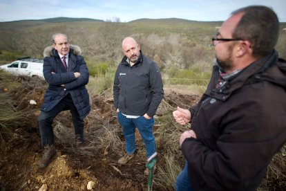 El monte de Viforcos, en Santa Colomba de Somoza, será reforestado. CAJA RURAL