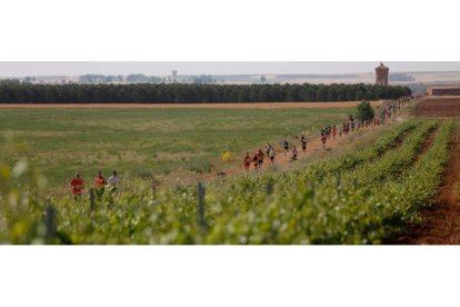 La carrera se disputó entre los viñedos. FERNANDO OTERO
