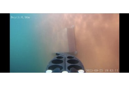 SERVICIO DE INFORMACIÓN DE GIBRALTAR