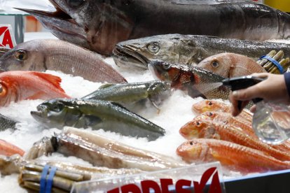 El Salón Gourmets celebra hasta el jueves una edición de récord en Ifema (Madrid), donde contará con una superficie equivalente a diez campos de fútbol en la que 20.000 expositores presentarán más 55.000 productos. J. J. GUILLÉN