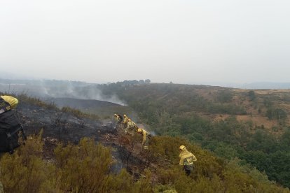 BRIF TABUYO