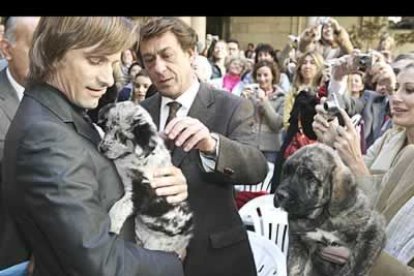 El secretario de la Sociedad canina leonesa, regaló al actor un cachorro de carea, una raza autóctona leonesa. Viggo Mortensen aseguró que se lo llevaría a Inglaterra (donde comienza a rodar su próxima película) y explicó que no quería perderse su infancia. Previamente le habían ofrecido dos mastines con los nombres de Alatriste y Aragorn, los últimos personajes que ha interpretado, a los que rechazó por su tamaño. El actor no se desprendió de Firme (nombre del perro) hasta que salió del despacho del presidente de la Diputación rumbo a La Bodega Regia.