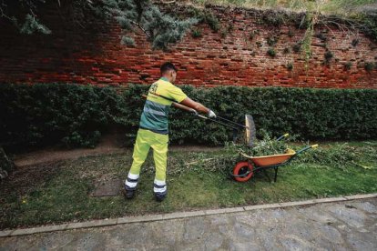 Sergio Arredondo, uno de los trabajadores de jardinería del Ayuntamiento. MIGUEL F. B.