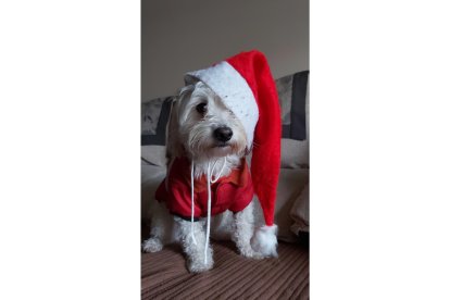 'Rasty Noel'. SERGIO ORDÁS LLAMAZARES