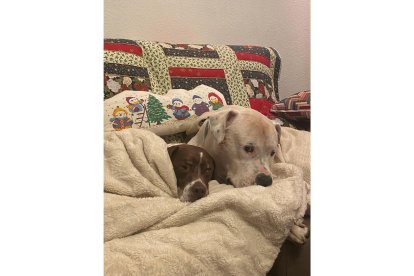 'Al calor de Navidad'. PILAR SERRA OBREGÓN