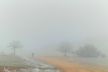 'Siempre hay un camino'. ANA ALONSO GARCÍA.