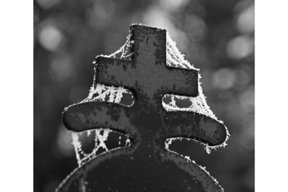 'Pino de Navidad centellado'. MARIEN DEL CANTO