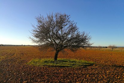 'Soledad navideña'. JOSÉ LUIS ÁLVAREZ NAVA