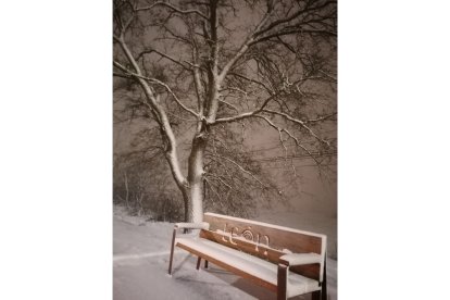 `Navidad en León (I)'. SONIA SANZ GUTIÉRREZ