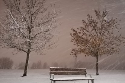 'Navidad en León (II)'. SONIA SANZ GUTIÉRREZ