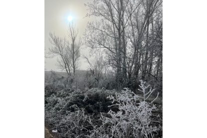 'El blanco leonés'. MARÍA ROSA GONZÁLEZ URDIALES