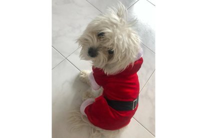 'Navidad en León y yo con estos pelos'. LORENA CAMPOS OJEA