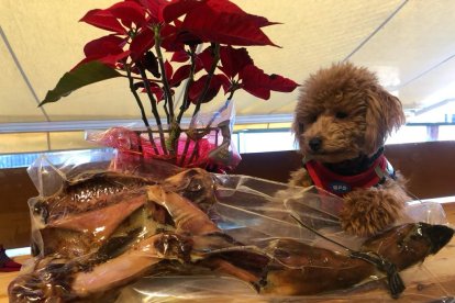 'El jamón de la cesta de Navidad'. MARÍA JESÚS ARADA APARICIO