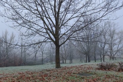 'Llega el invierno'. JUAN LUIS BAILE MORENO