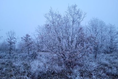 'Encanto nocturno'. SHEILA DEL CAMPO