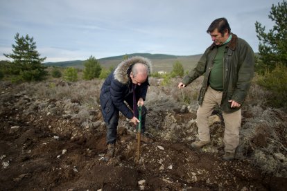 El monte de Viforcos, en Santa Colomba de Somoza, será reforestado. CAJA RURAL