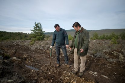 El monte de Viforcos, en Santa Colomba de Somoza, será reforestado. CAJA RURAL
