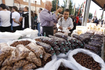 Romería de San Froilán 2019 en La Virgen del Camino. FOTO: MARCIANO PÉREZ