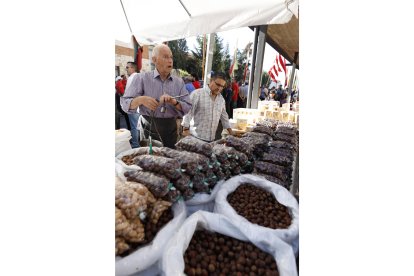 Romería de San Froilán 2019 en La Virgen del Camino. FOTO: MARCIANO PÉREZ