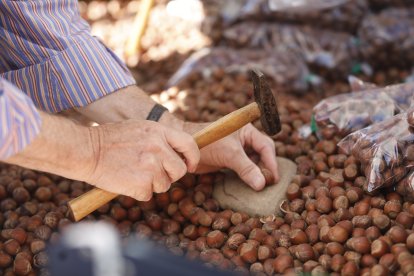 Romería de San Froilán 2019 en La Virgen del Camino. FOTO: MARCIANO PÉREZ