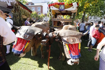 Romería de San Froilán 2019 en La Virgen del Camino. FOTO: MARCIANO PÉREZ